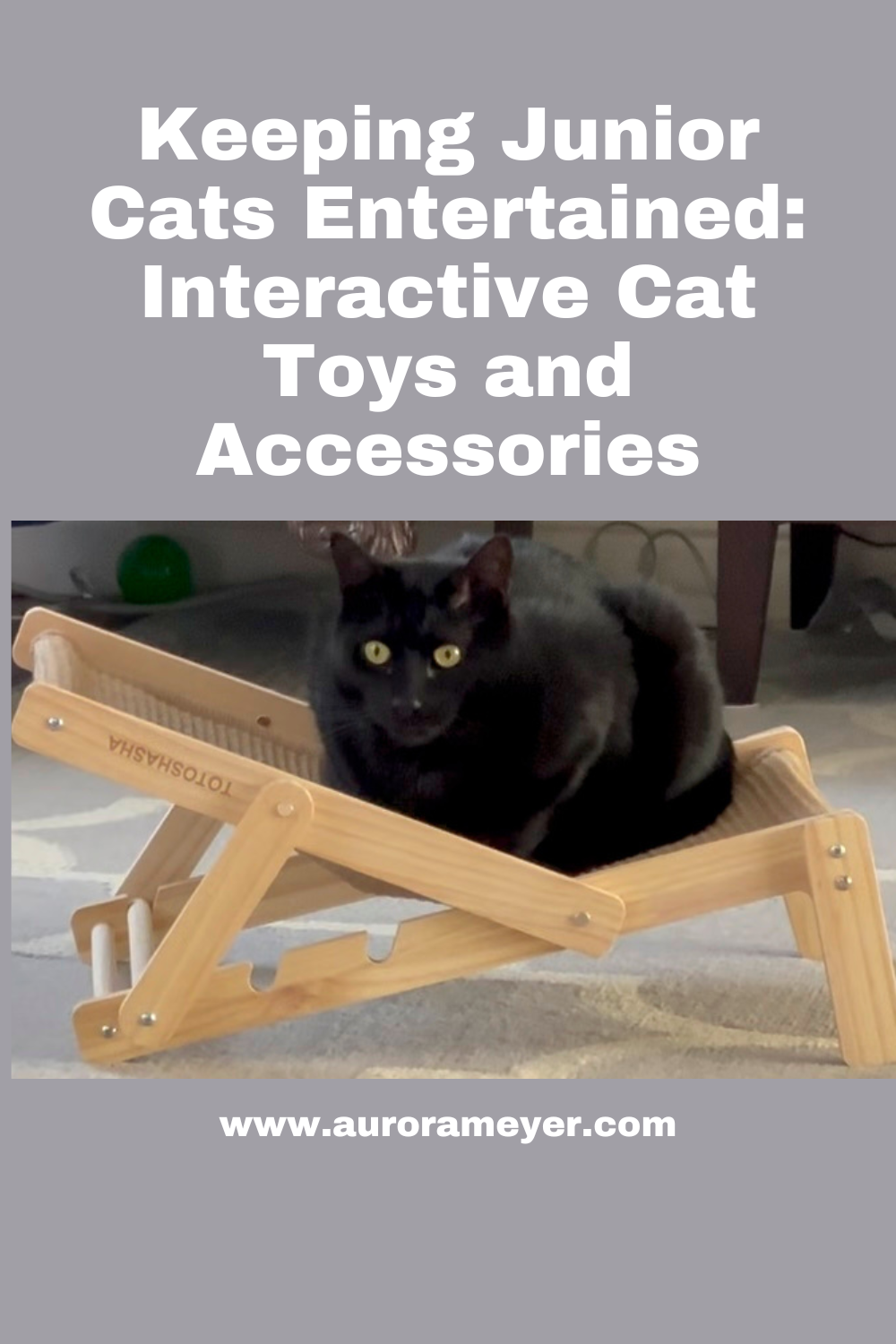 Interactive Cat Toys and Accessories for Junior Cats